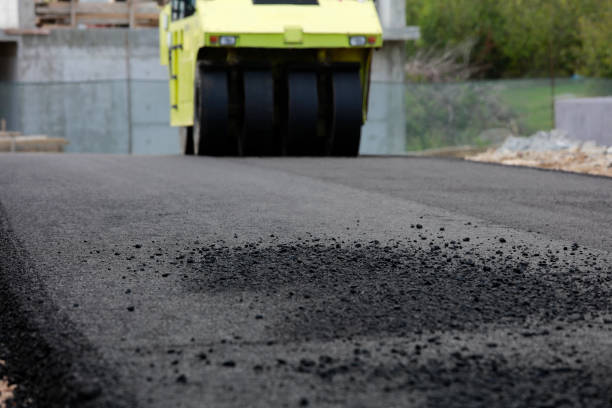 Best Local Driveway Pavers  in Lake Wildwood, CA